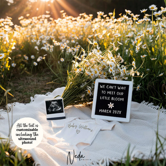EDITABLE Daisy Pregnancy Announcement Digital, Daisy Flower Baby announcement, Instagram Pregnancy Reveal, Flower Announcement Download 0267