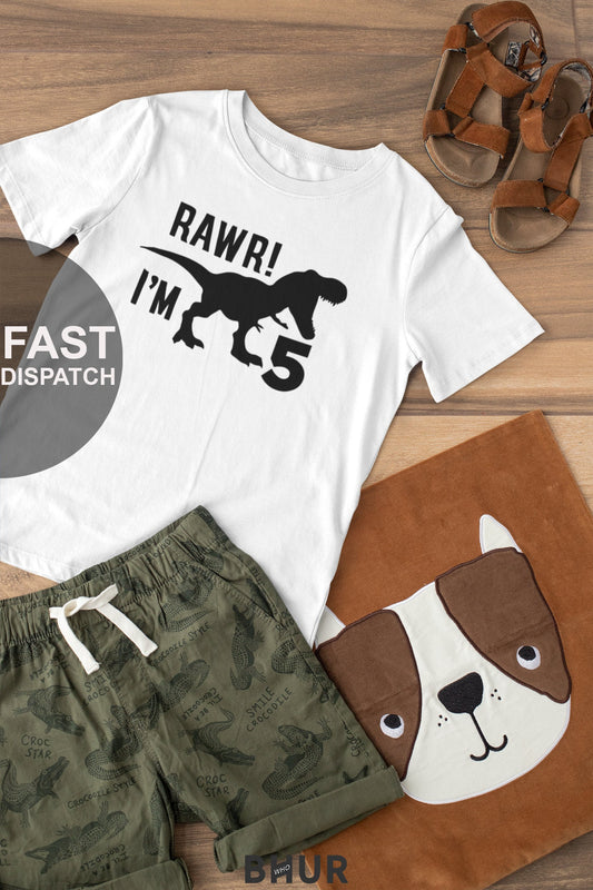 Kids Personalised kids dinosaur t-shirt, Children's Birthday T-shirt, Childrens Toddlers T Shirt Top